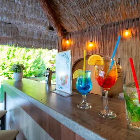 Condor Hotel Sunny Beach